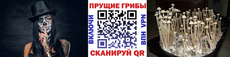 Псилоцибиновые грибы мицелий  Мичуринск 